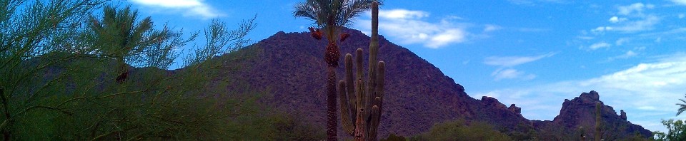 cropped-camelback.jpg